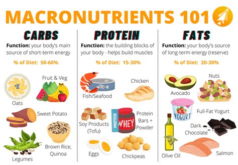 food list with macronutrient breakdown